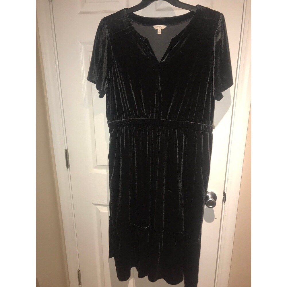 1X Terra and Sky Black Velvet dress